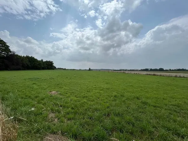 Terrain 8000 m²