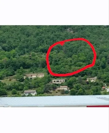 Parcelle terrain boisé