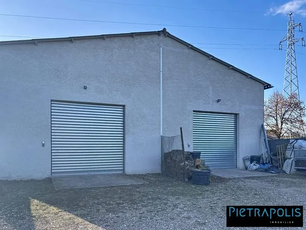 Immobilier Professionnel à vendre Arnas