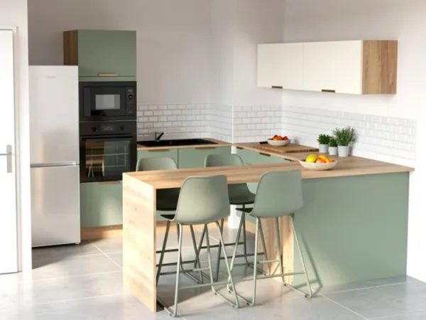 APPART T2 43 M² TERRASSE ET GARAGE