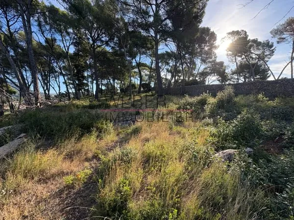 OLLIOULES - TERRAIN A BATIR 6400 M2- VUE DEGAGEE
