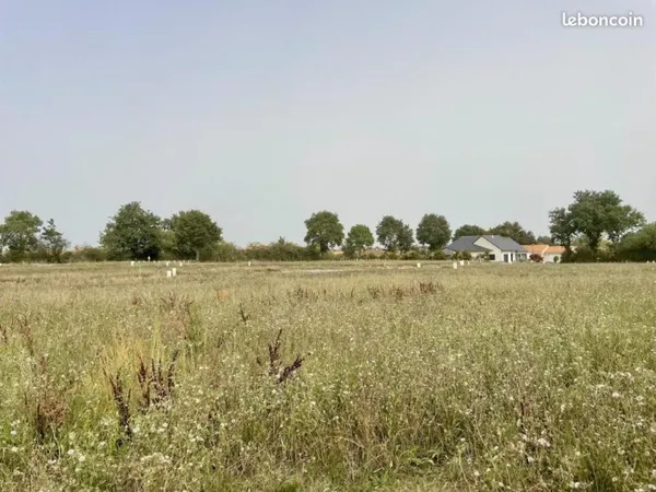 Terrain 356 m² Maze