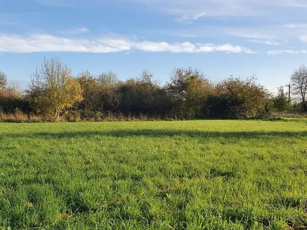 Opportunité rare terrain 4000m2