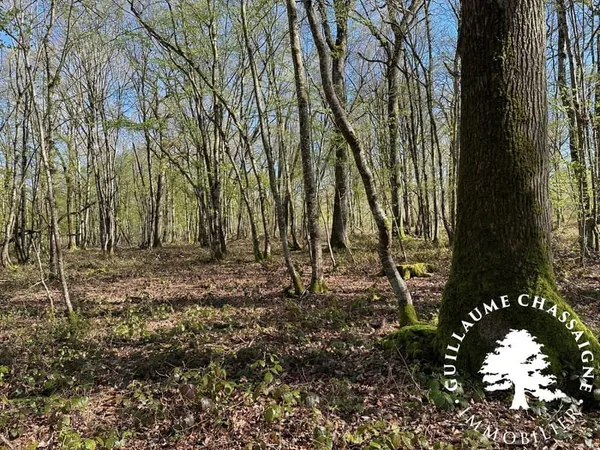 Bien agricole et foncier Vente Nérondes   157500€