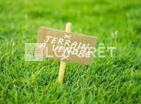 Terrain 560 m²