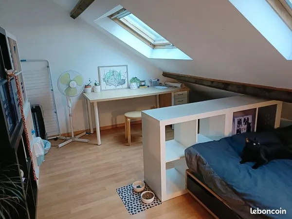 Chambre meublée colocation lille-lambersart