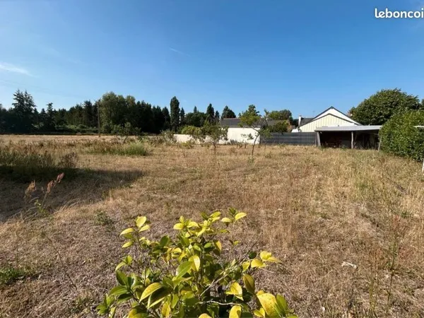Terrain constructible