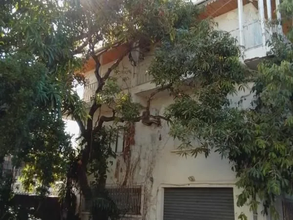 Maison 7 pièces 300 m²