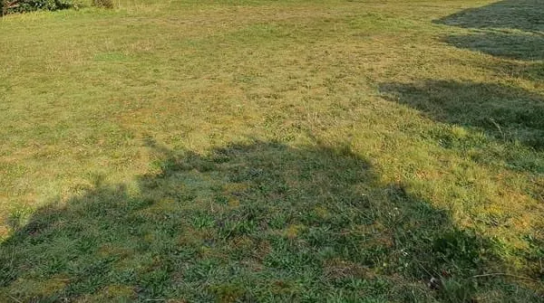 Terrain à bâtir Vente Hourtin  480m² 103000€
