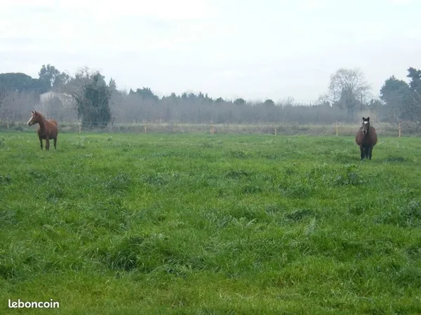 Terrain agricole et loisirs a 2km mer toutes tailles de parcelles toutes utilisation possible beauco