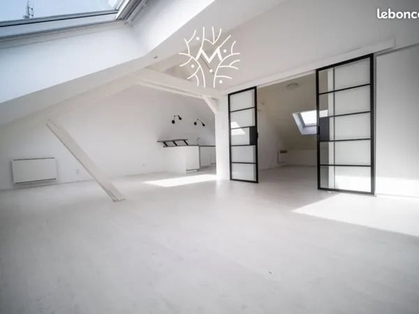 Loft 4 pièces 45 m²