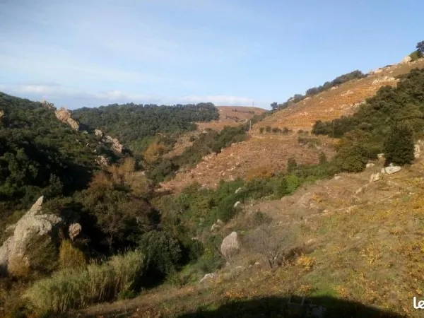 Terrain agricole 9 232 m² Collioure