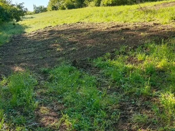 Terrain Location Pollieu   20€