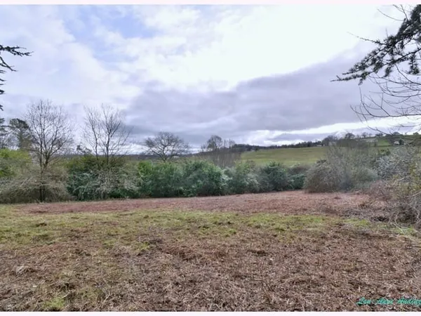 MONEIN TERRAIN CONSTRUCTIBLE 1380 m²