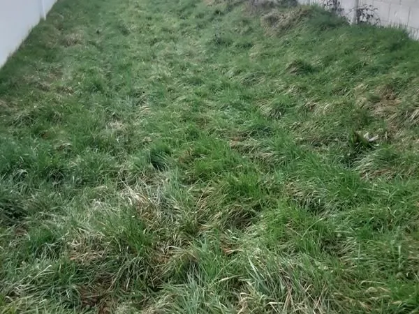 Terrain à bâtir