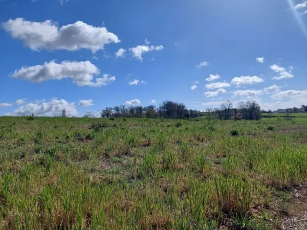 Terrain 985 m²