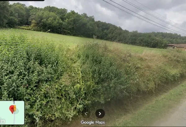 Terrain 11000 m²
