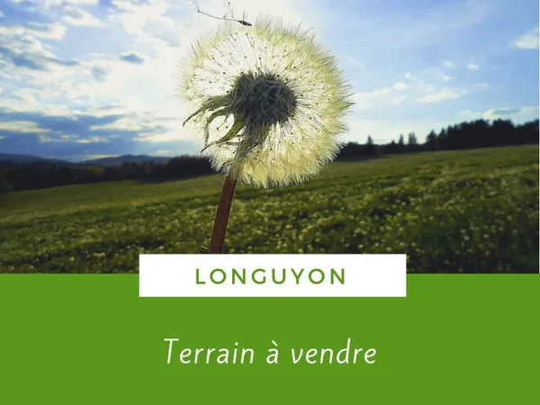 Terrain 6350 m²