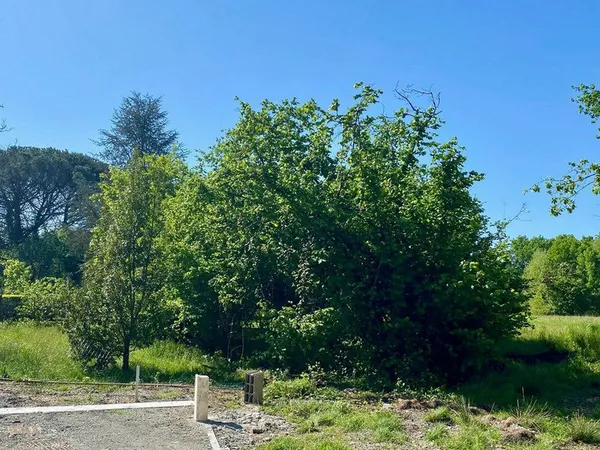 Terrain à vendre viabilisé 573 m² LE TAILLAN MEDOC (33) Libre de constructeur