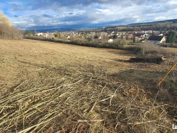 Terrain constructible