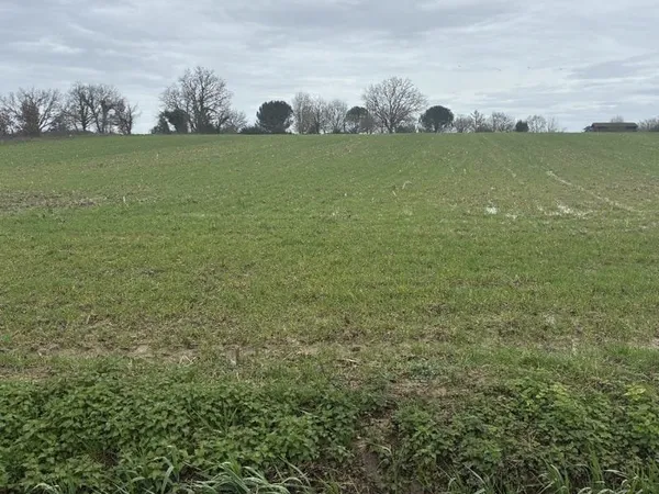 Terrain 2300 m²
