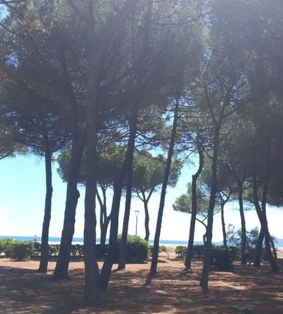 Appartement de 30m2 à louer sur Argelès-sur-Mer