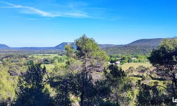 Vue Pic Saint-Loup - 9000 m² de nature - Terrain aménagé coup de coeur