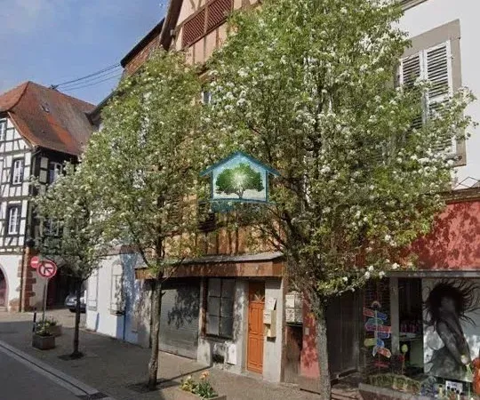 Immeuble de rapport 7 pièces 125 m²
