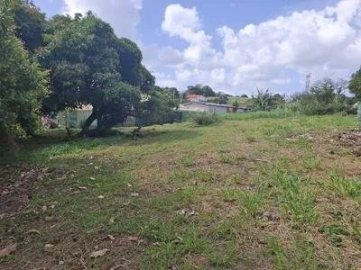 DUCOS BELLE PARCELLE PLATE 985m² Vue Campagne