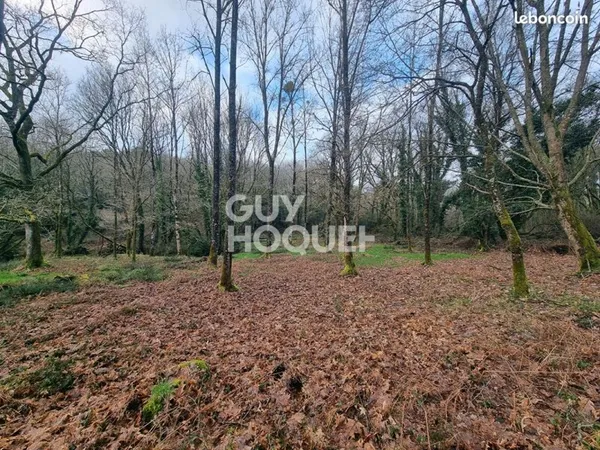 Terrain 5880 m² QUESTEMBERT