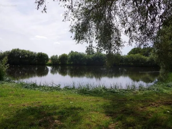 Terrain 6300 m²