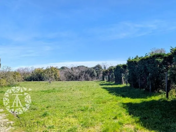 Laroque-des-Albères - Terrain à bâtir d'exception