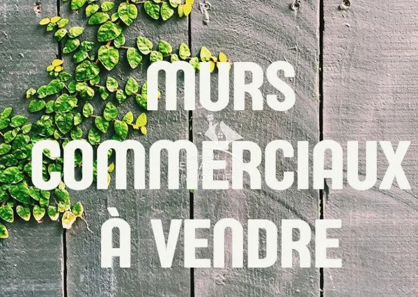 Immeuble commercial 630 m²
