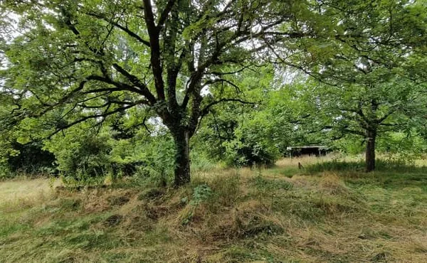 Terrain constructible TREPT.