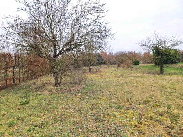 Terrain 1650 m²