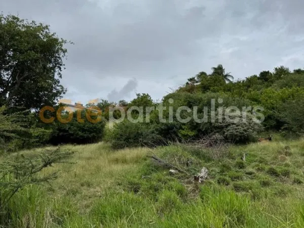TERRAIN A VENDRE EN MARTINIQUE