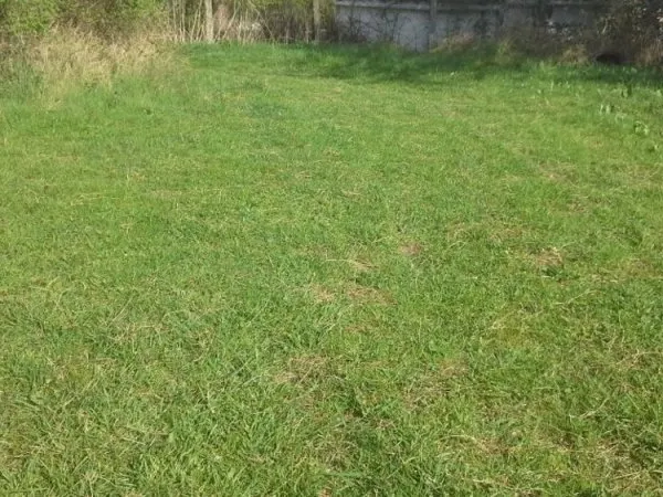 Terrain 620 m²