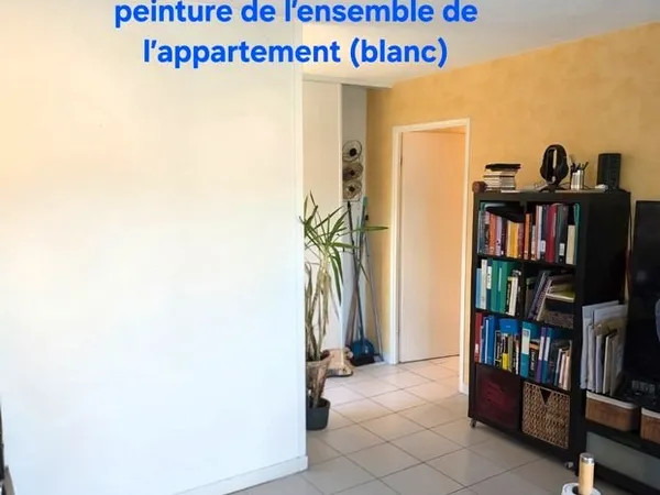 Appartement T2 45m² (rénovation en cours)