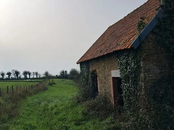 Bergerie sur joli terrain