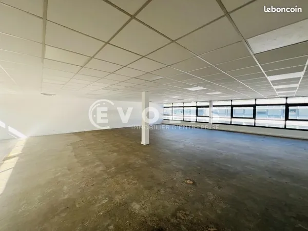 Bureau 300 m²