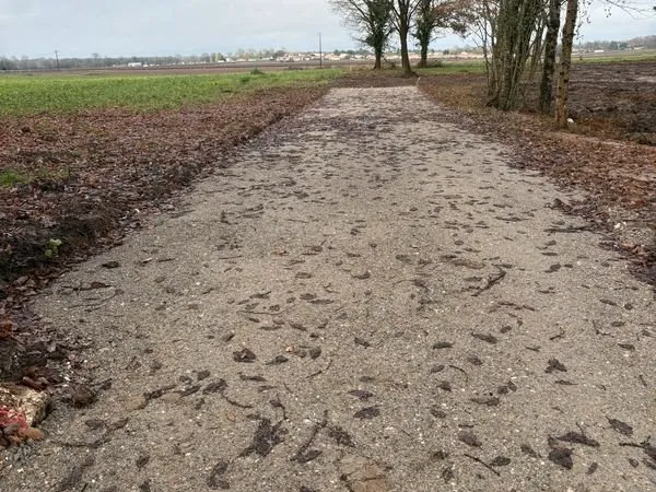 Terrains à bâtir - Tesson (entre Saintes et Gémozac)