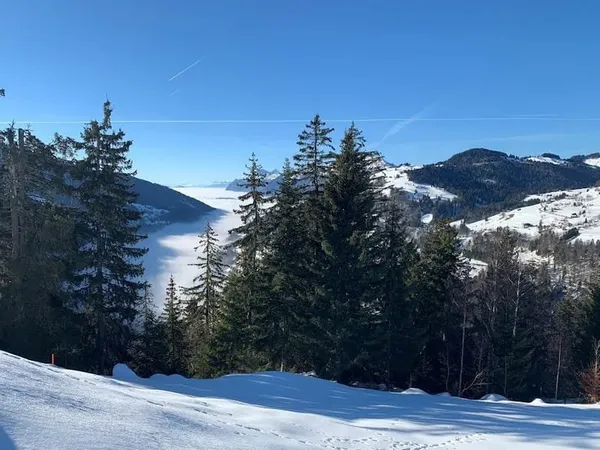 Terrain 450 m²