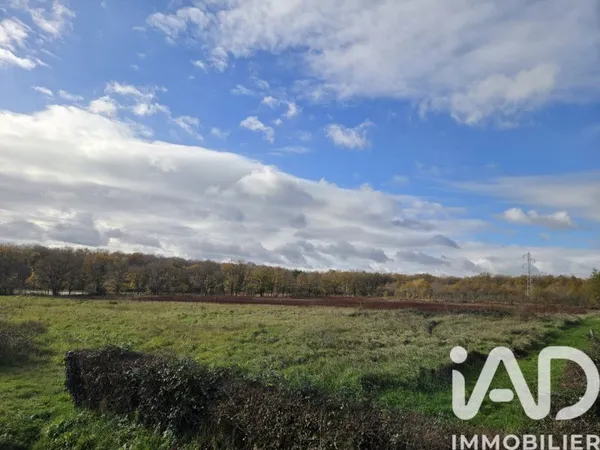 Terrain en individuel 31254 m²