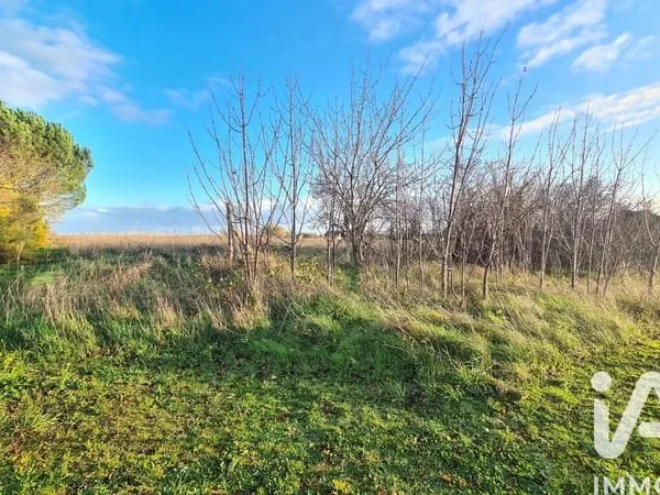 Terrain 2390 m²