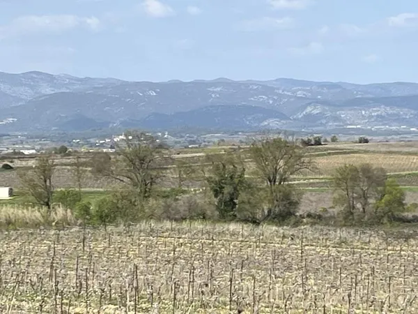 Terrain Agricole avec Vignes