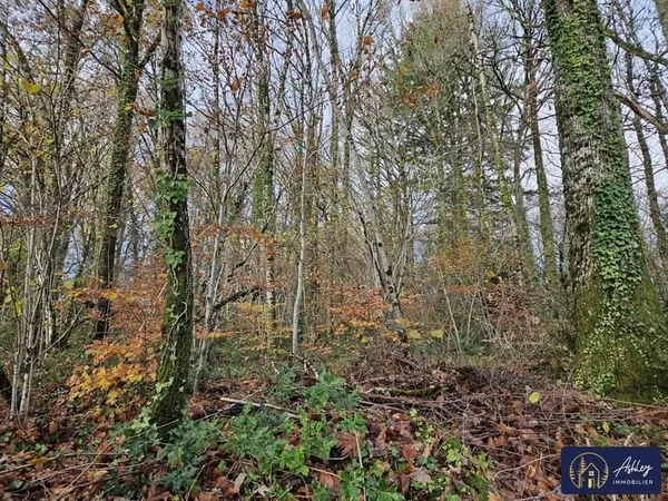 Terrain 2600 m²
