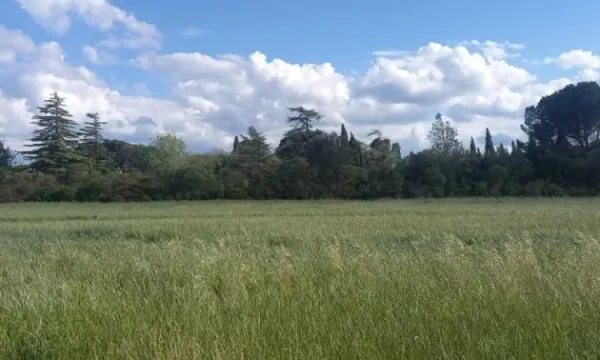 Terrain 494 m²