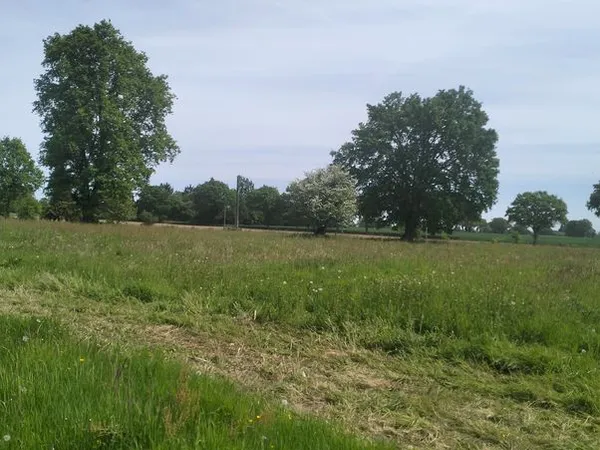 Location parcelle agricole