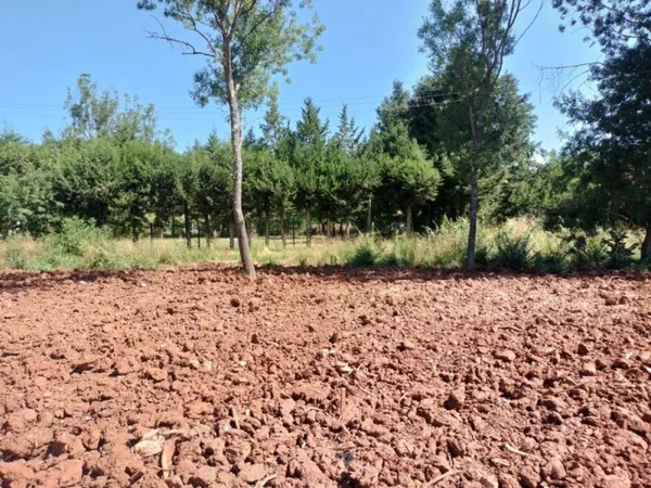 Terrain 278 m²