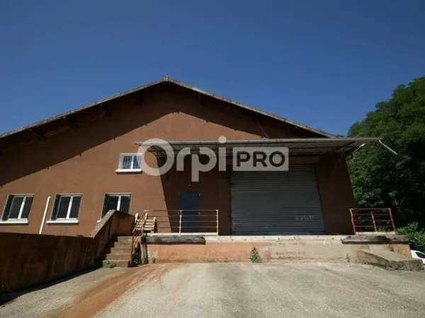 Local d'activité 450 m²